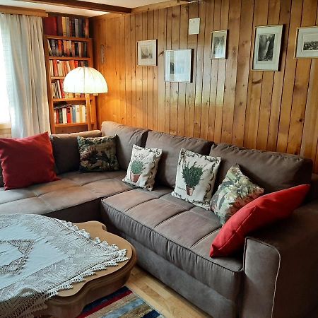 Chalet Am Fels Innertkirchen Buitenkant foto